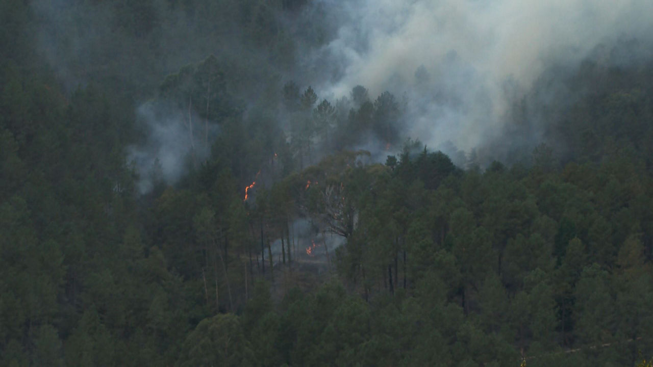 Incendio en La Arboleda