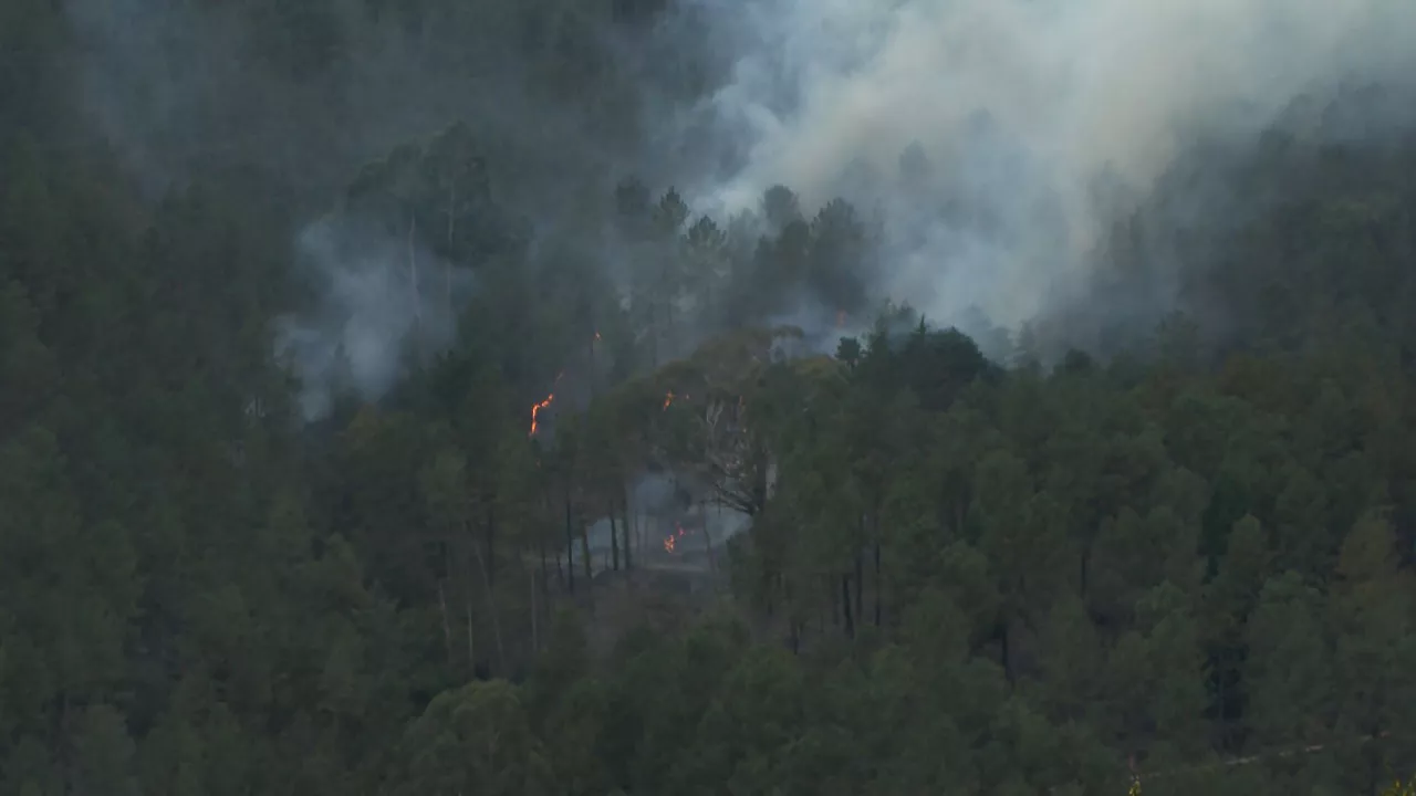 Incendio en La Arboleda