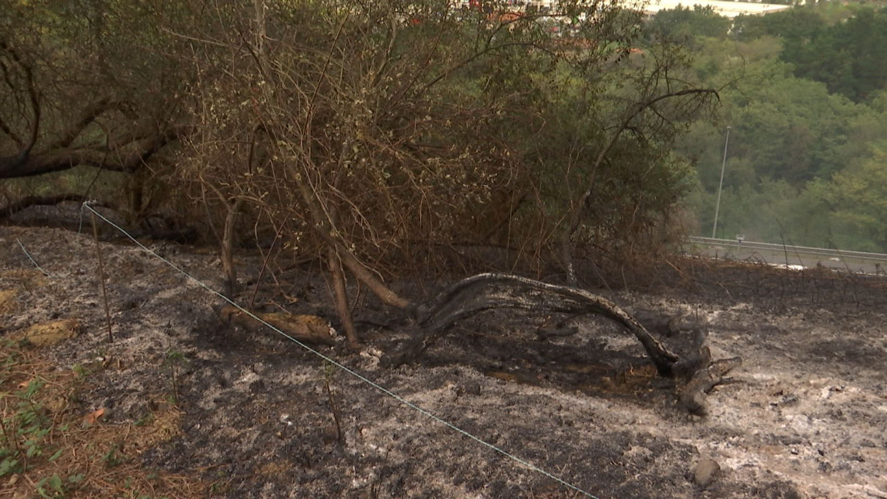 Incendio de Sondika