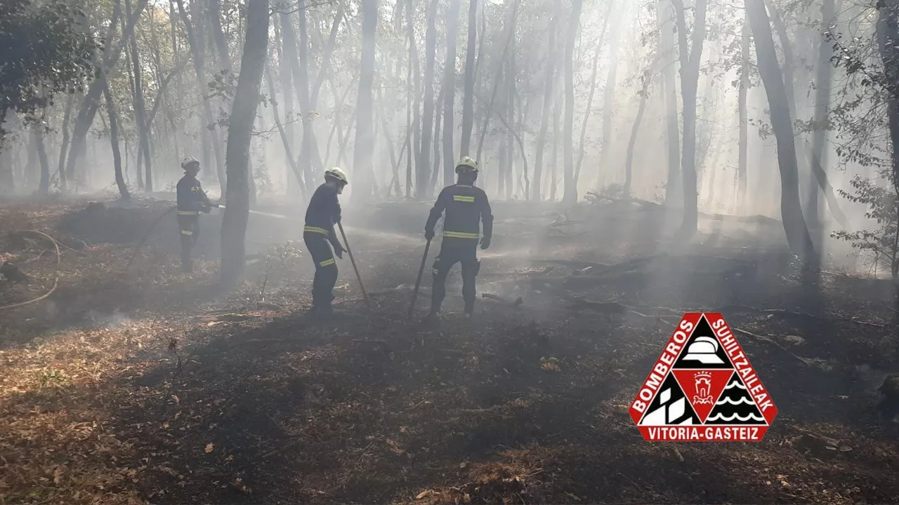incendio-sutea-Gobrea-bomberos-gasteiz