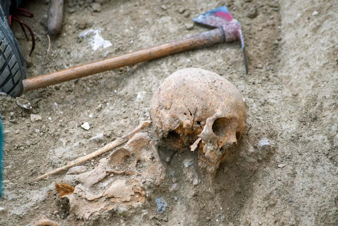 Imagen de una fosa común de la Guerra Civil en Jaén. Foto: EFE