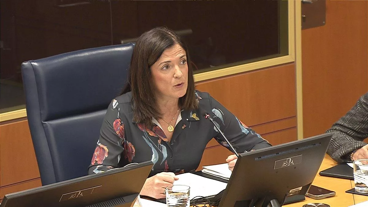 Beatriz Artolazabal en comisión parlamentaria. Imagen obtenida de un vídeo de EITB Media