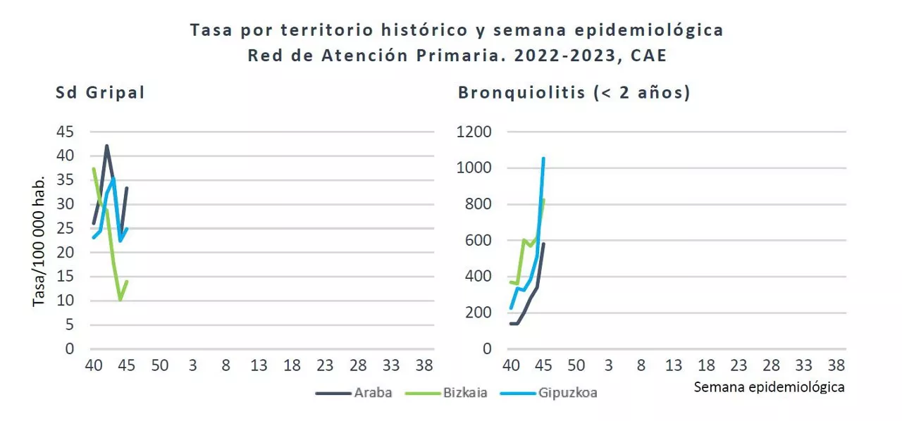 Tasa de incidencia por semanas del año de la gripe y la bronquiolitis. Foto: Departamento de Salud