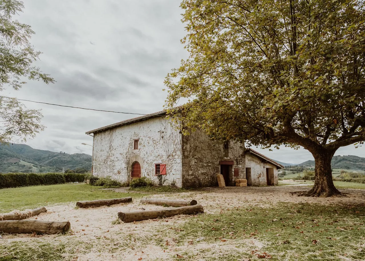 Foto: Euskadi Irratia