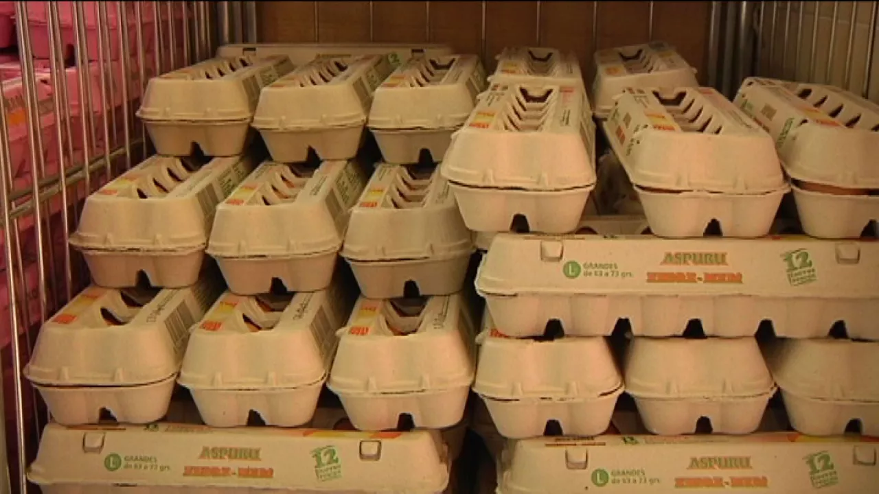 20221130212243_huevos_