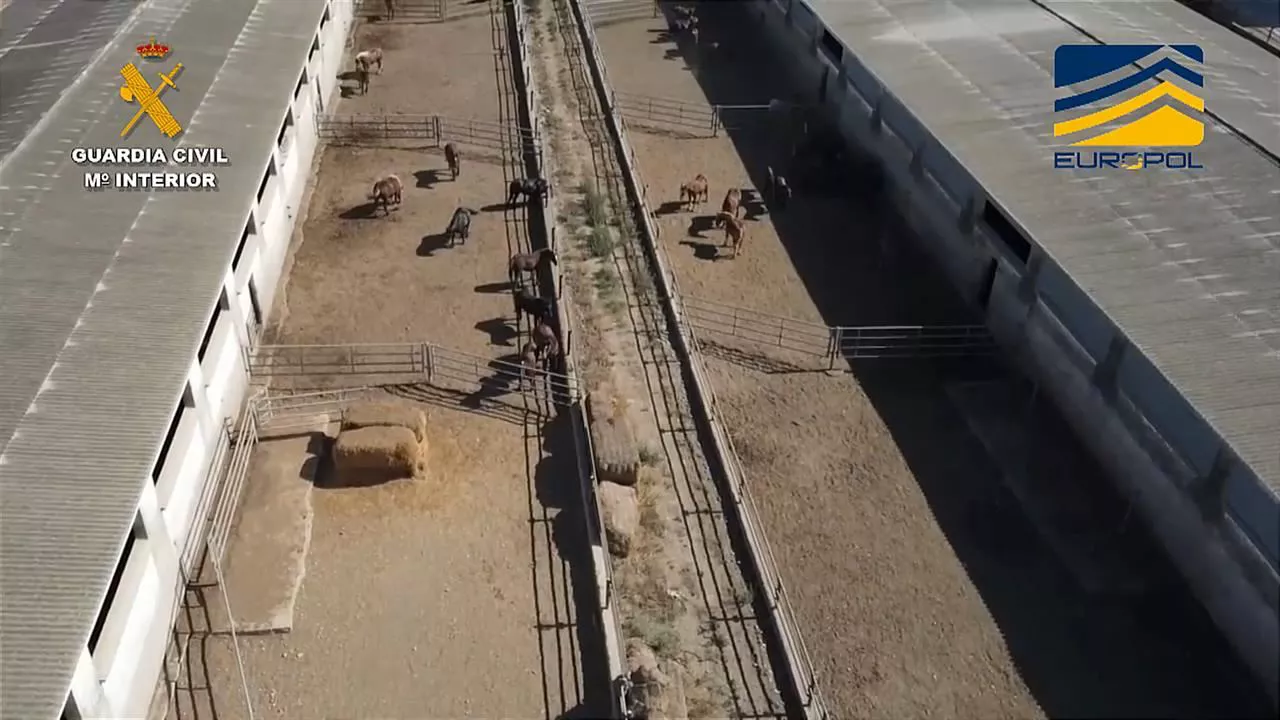 Explotación ganadera en Valencia. Imagen: Guardia Civil/Europol