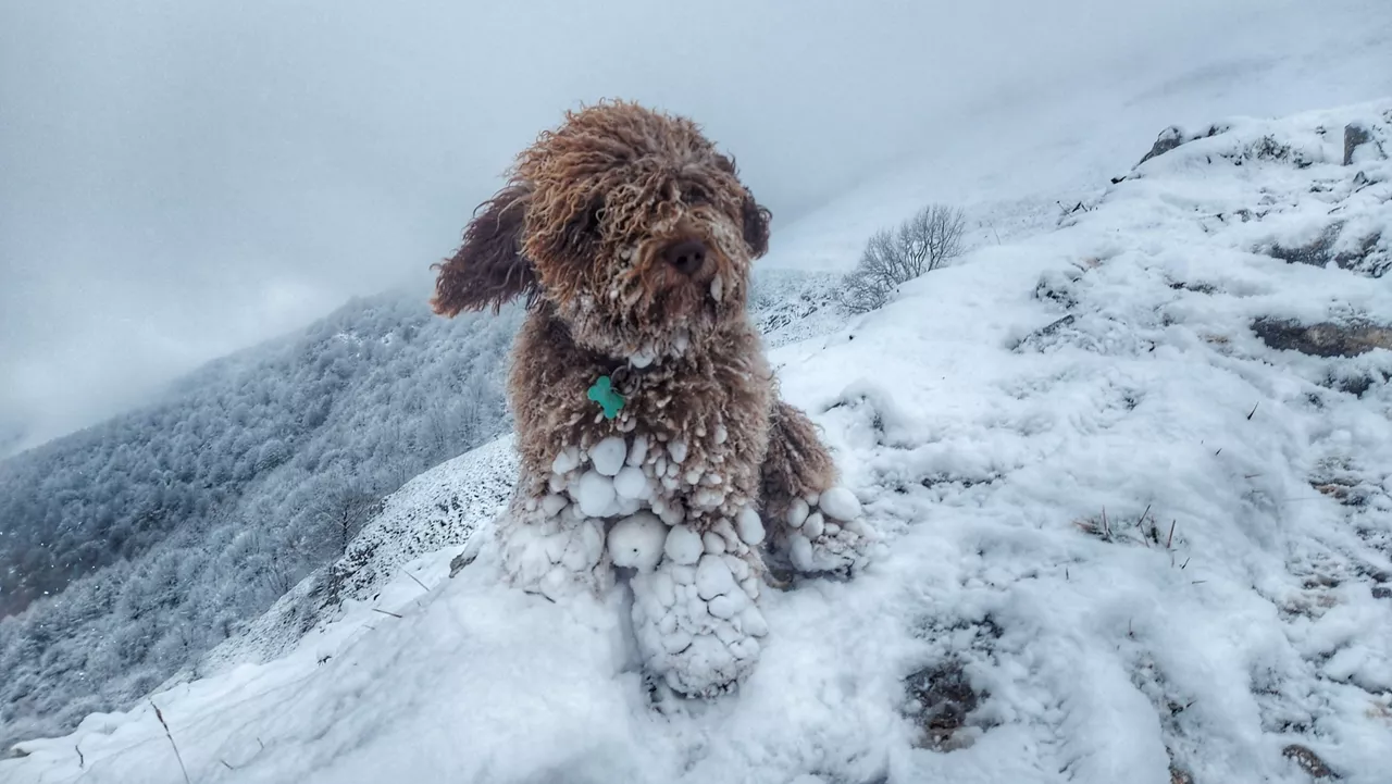 Elurra Legazpin. Argazkia: Aitor Agirrezabal