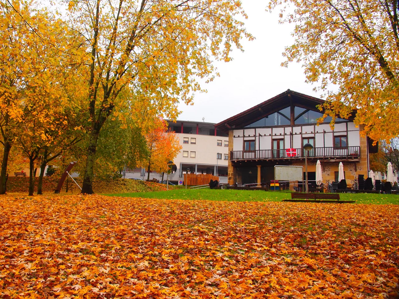 Udazken koloreak Usurbilen. Argazkia: Maria Jesus Echeverria