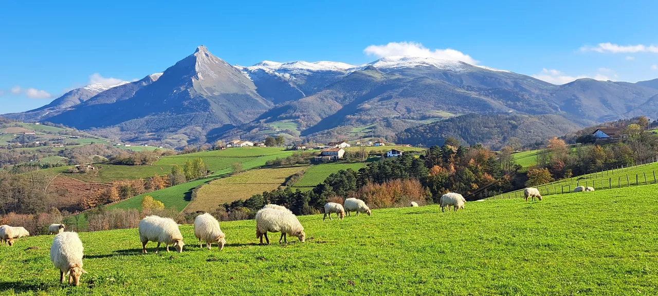 eguraldia-TXINDOKI