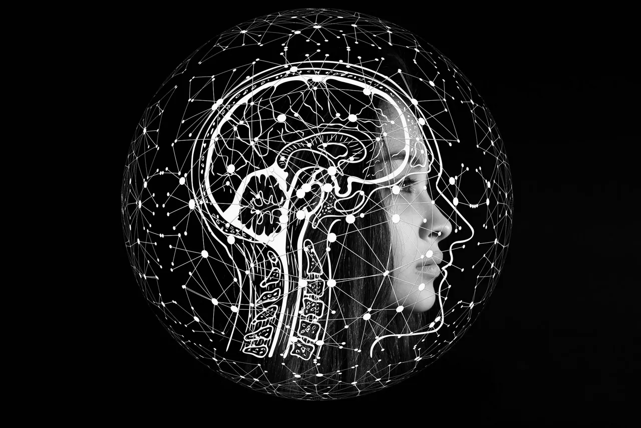 neurociencia-inteligencia-artificial-pixabay pixabay