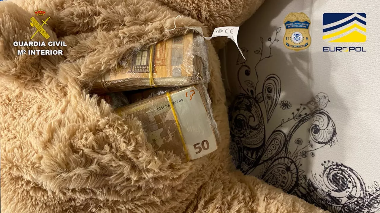 Guardia Zibilaren operazioan konfiskatutako materiala