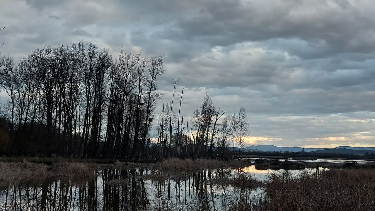 Humedales de salburua, el domingo al atardecer. Foto: Aitor García San Millán.
