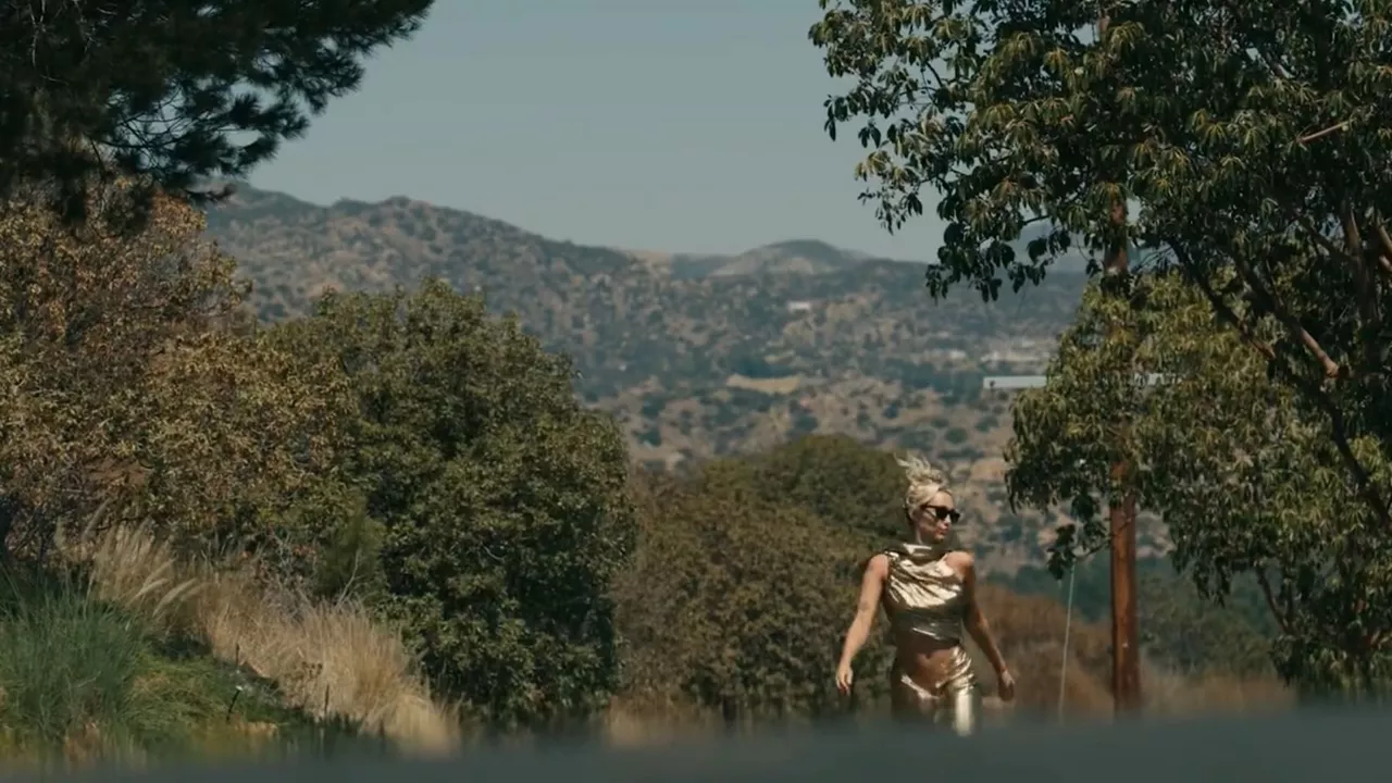 Argazkia: @mileycyrus Twitterreko kontua.
