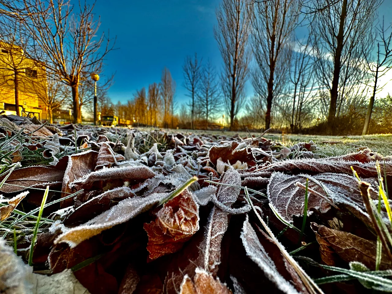 RECORRIENDOVITORIA izotza hielo guillermo agirre