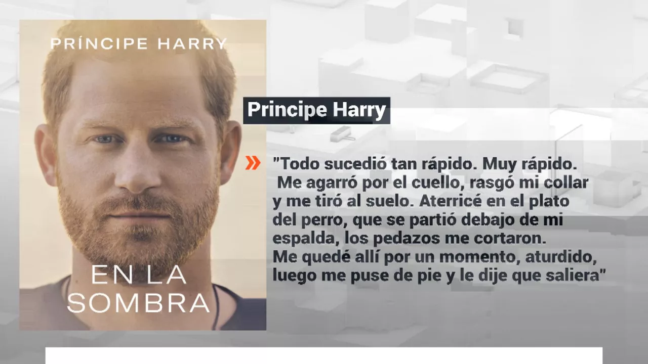 20230105210459_harry-contra-william_