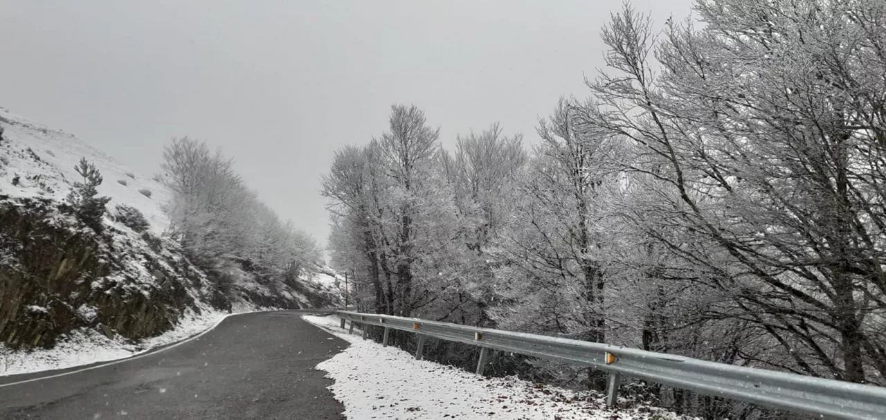 abodi nafarroa elurra nieve eitb media