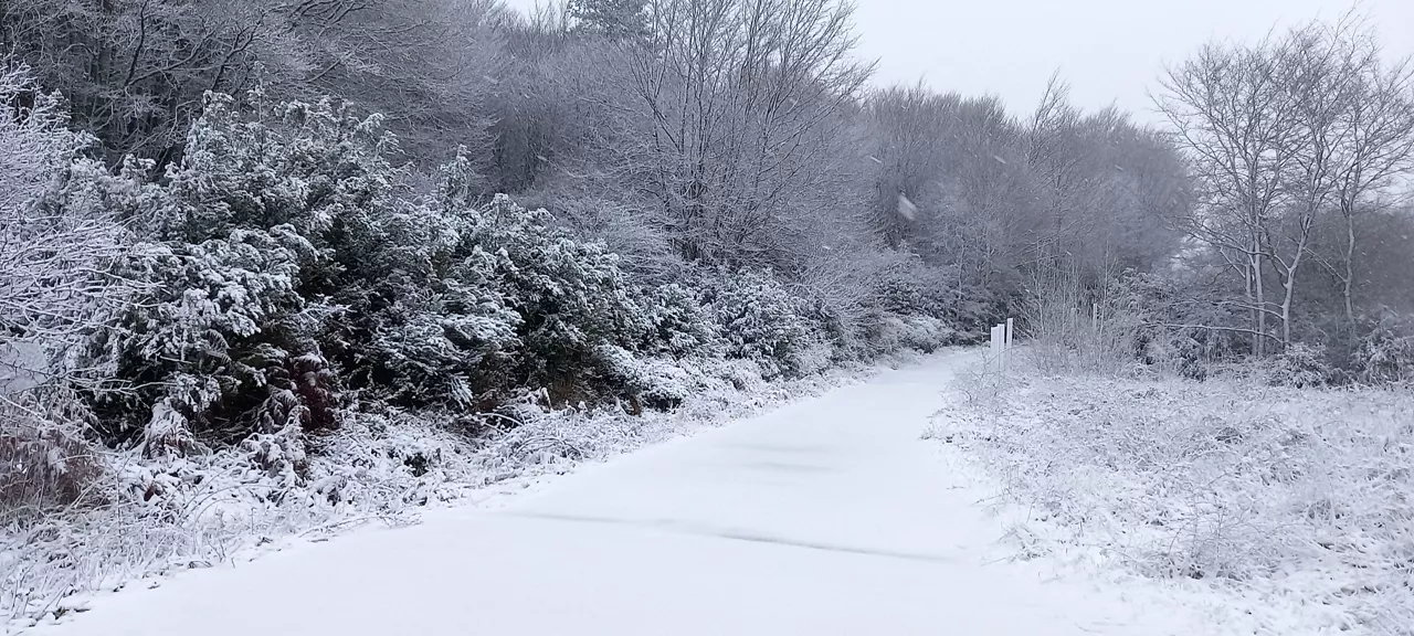 PRIMERA NEVADA EN HERRERA ELURRA ARABA EGILEA IZASKUN VALLEJO