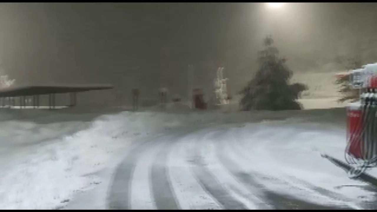 20230119072241_pagozelai_