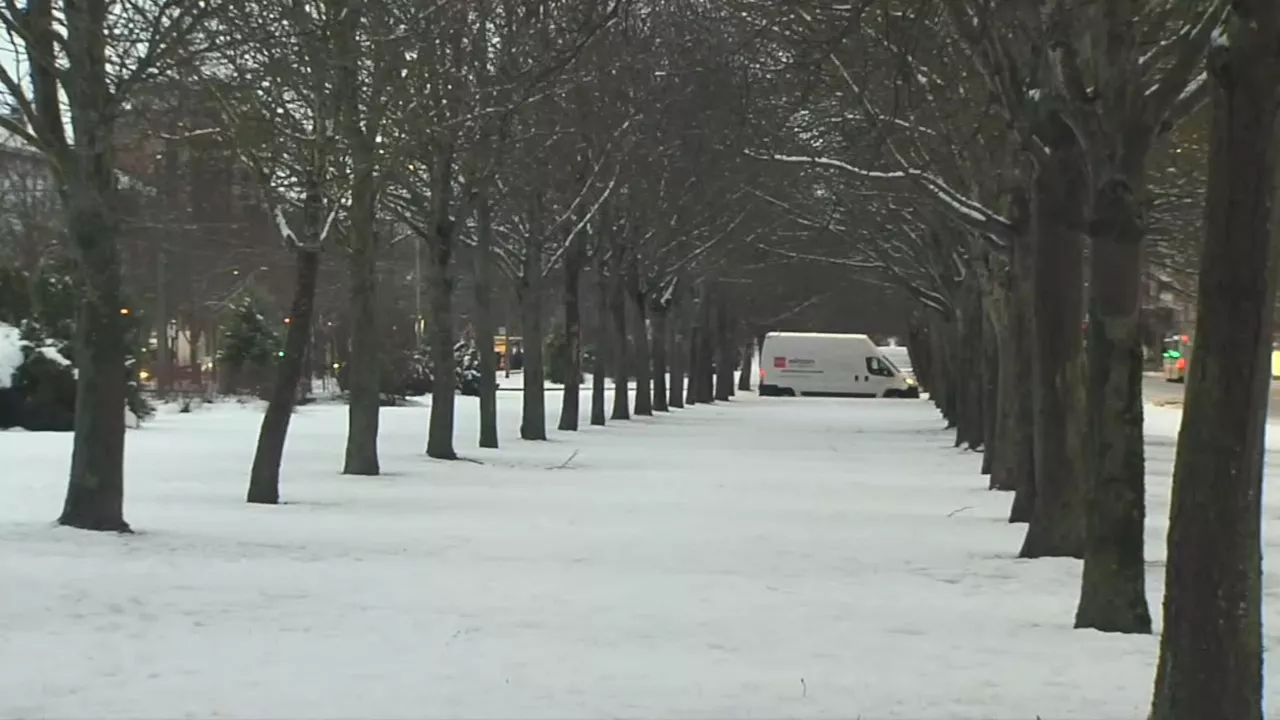 20230119093803_vitoria-nieve_