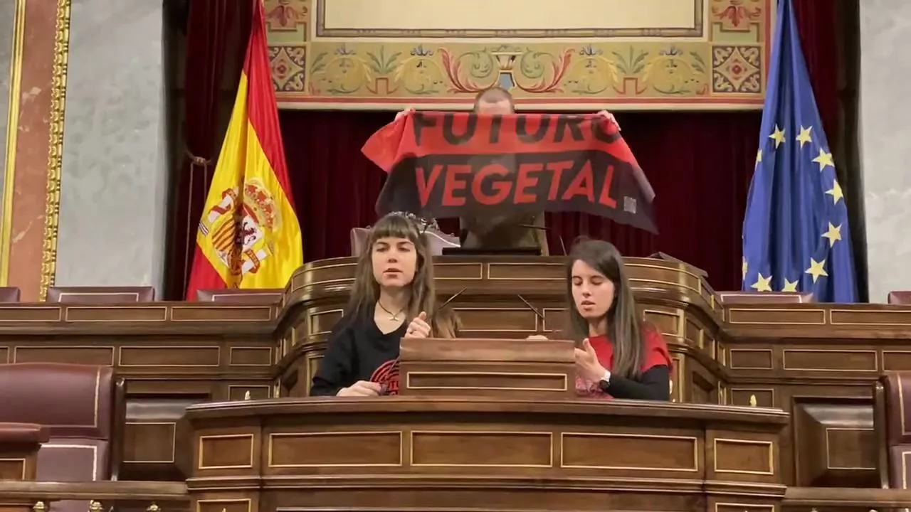 activistas-pegadas-congreso-futuro-vegetal