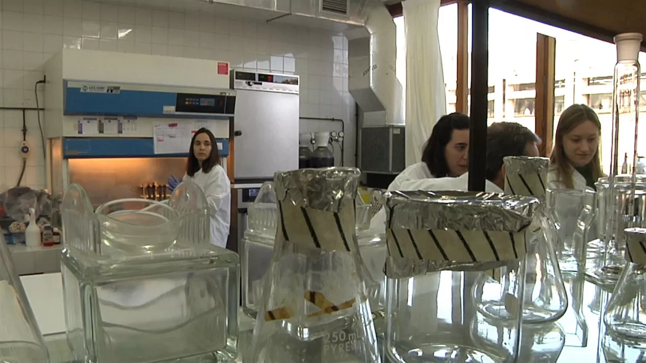 20230203164726_laboratorio-investiga-cancer-en-upv_