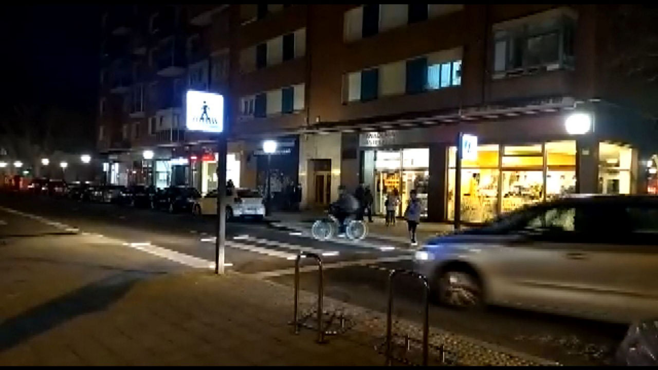 20230204170806_zebrabidea-gasteiz-argia_