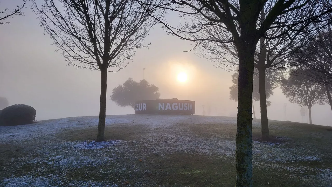 Zizun Nagusia (Alberto Alonso)