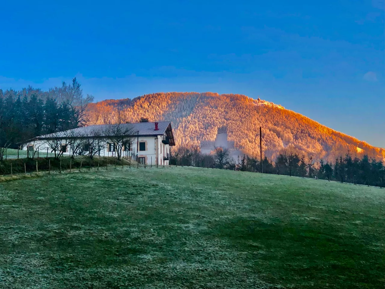 Irimo (Aitor Zabaleta)