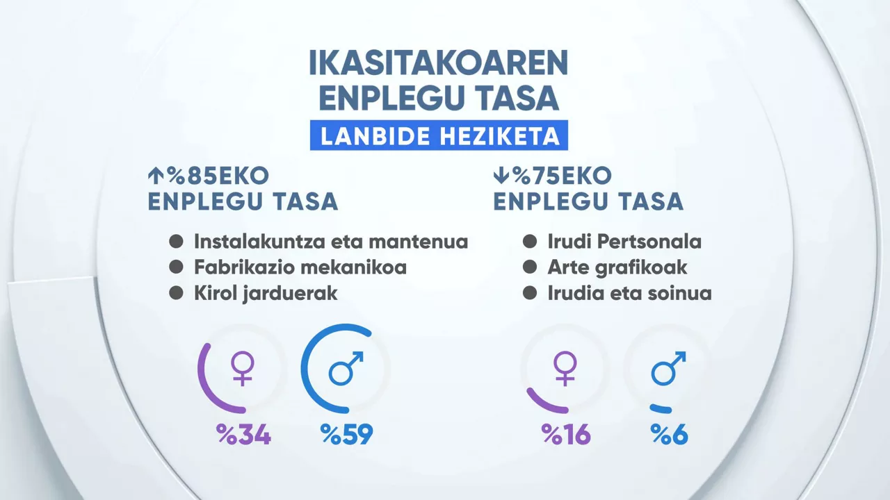 EITBDATA emakumeak enpleatibitatea lanbide heziketa