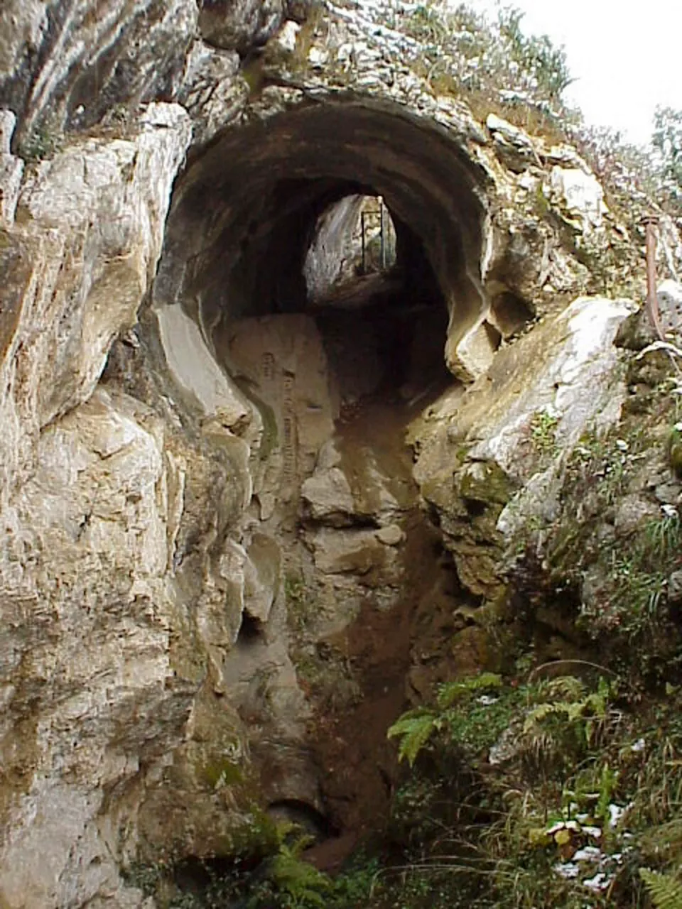 Arrasaten (Gipuzkoa) kokatutako Lezetxiki kobazuloaren sarrera. EFE / Alvaro Arrizabalaga