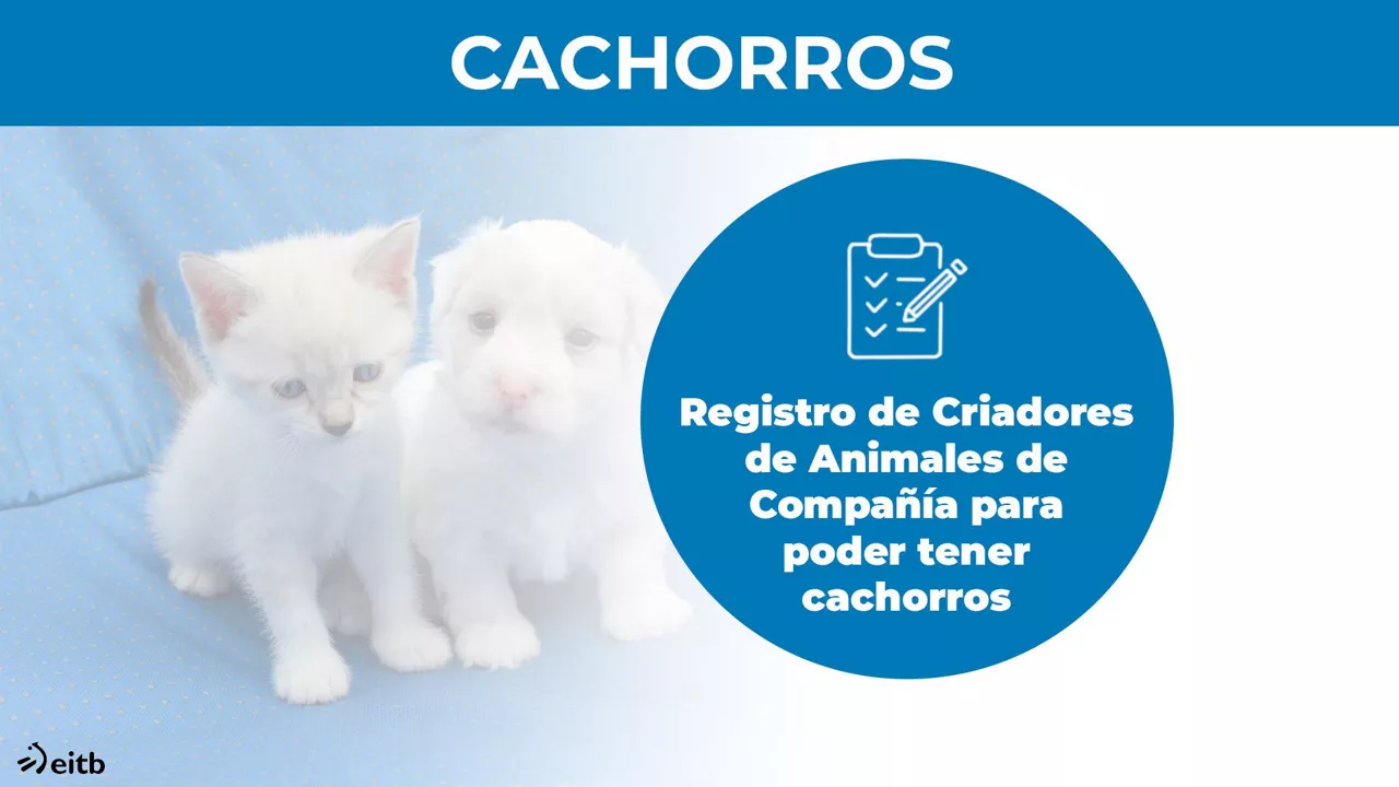 Ley de bienestar animal.