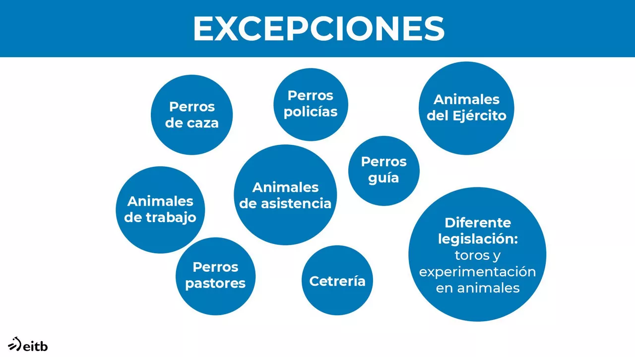 Ley del bienestar animal.