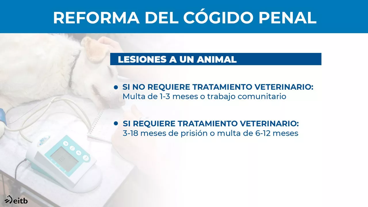 Reforma del Código Penal.