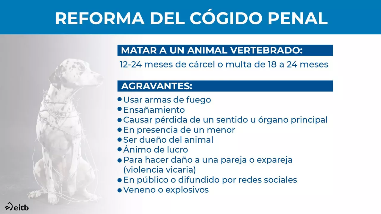 Reforma del Código Penal.