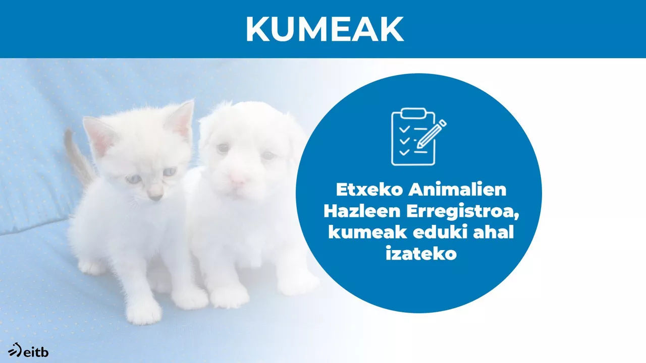 Animalien ongizatearen legea.
