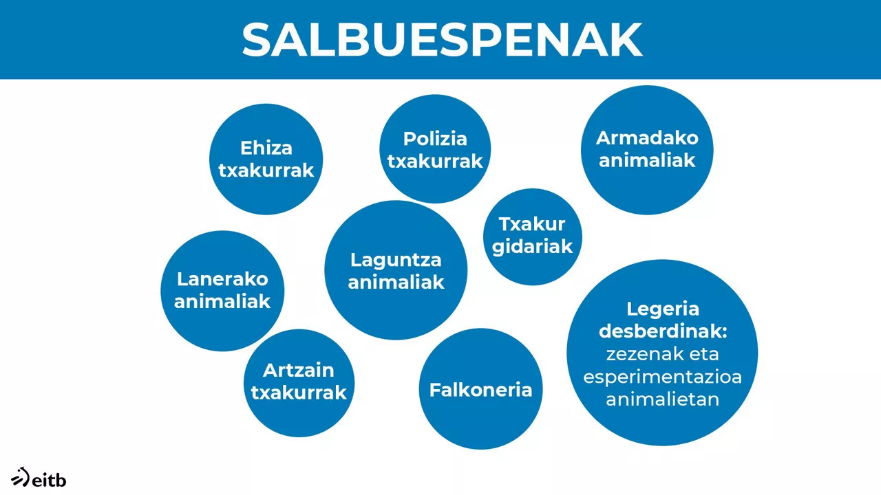 Animalien ongizatearen legea.