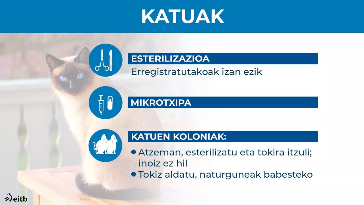 Animalien ongizatearen legea.