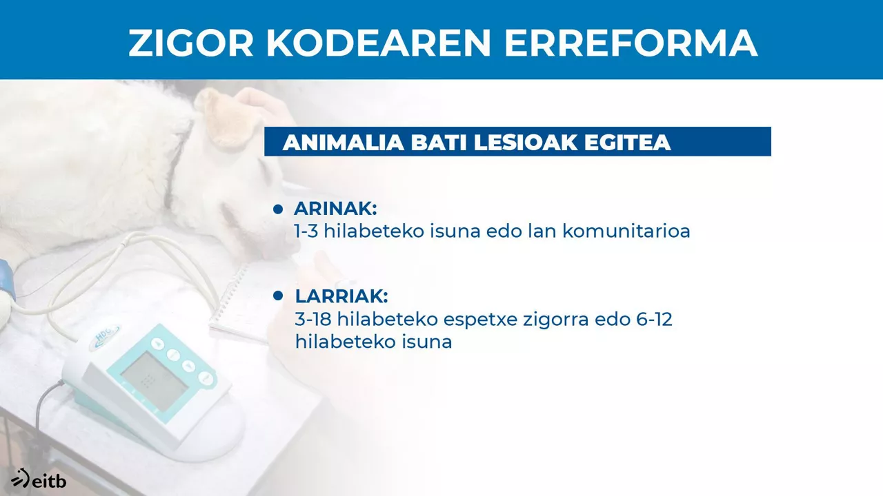 Zigor Kodearen erreforma.