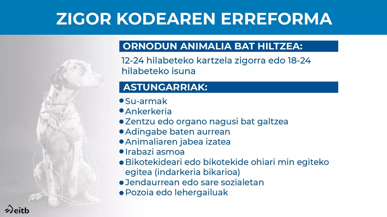 Zigor Kodearen erreforma.