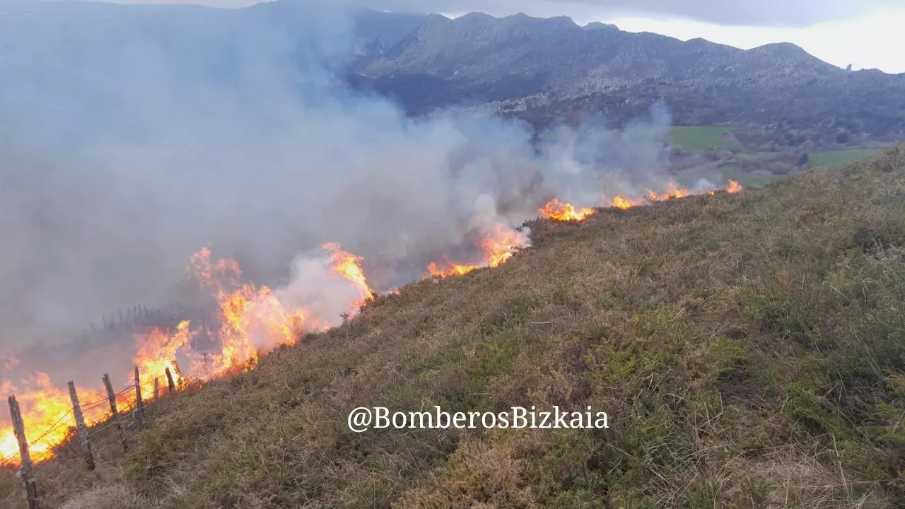 Imagen del incendio desatado en Karrantza. Foto: Bomberos Bizkaia