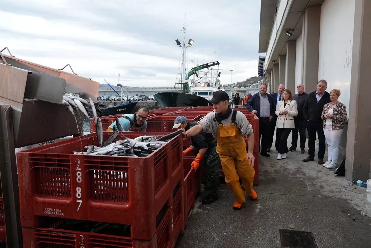 Descarga de verdel en Hondarribia. Foto: Irekia.