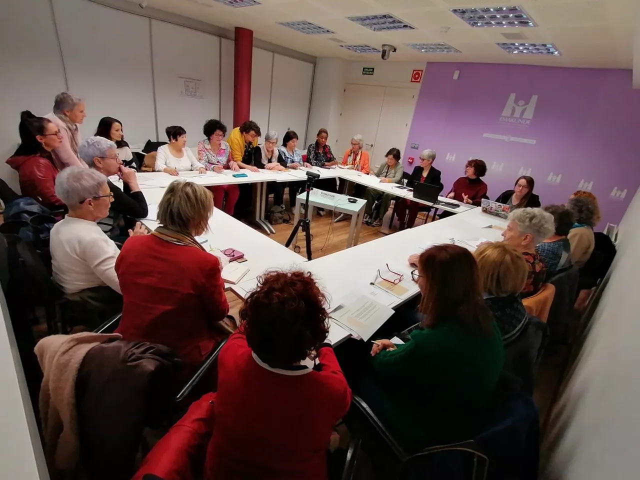 Comisión Consultiva de Emakunde.
