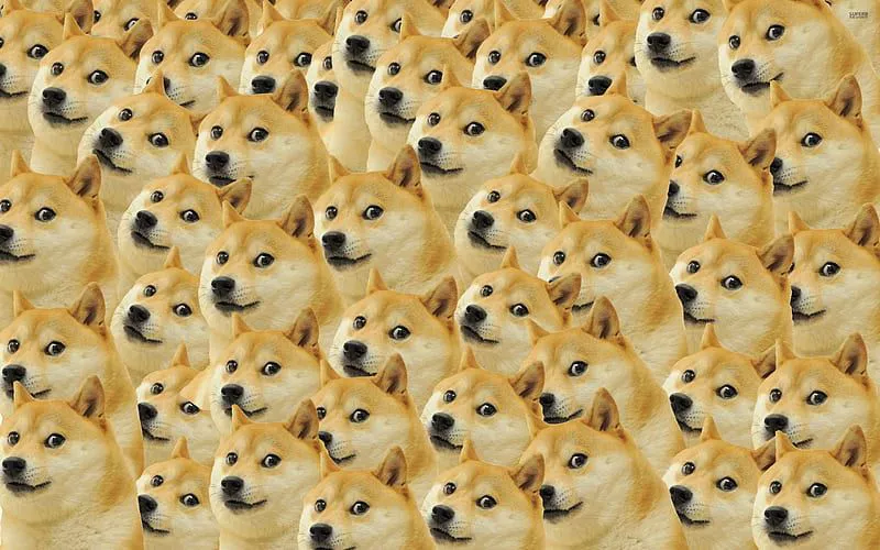 DOGEren txakurra