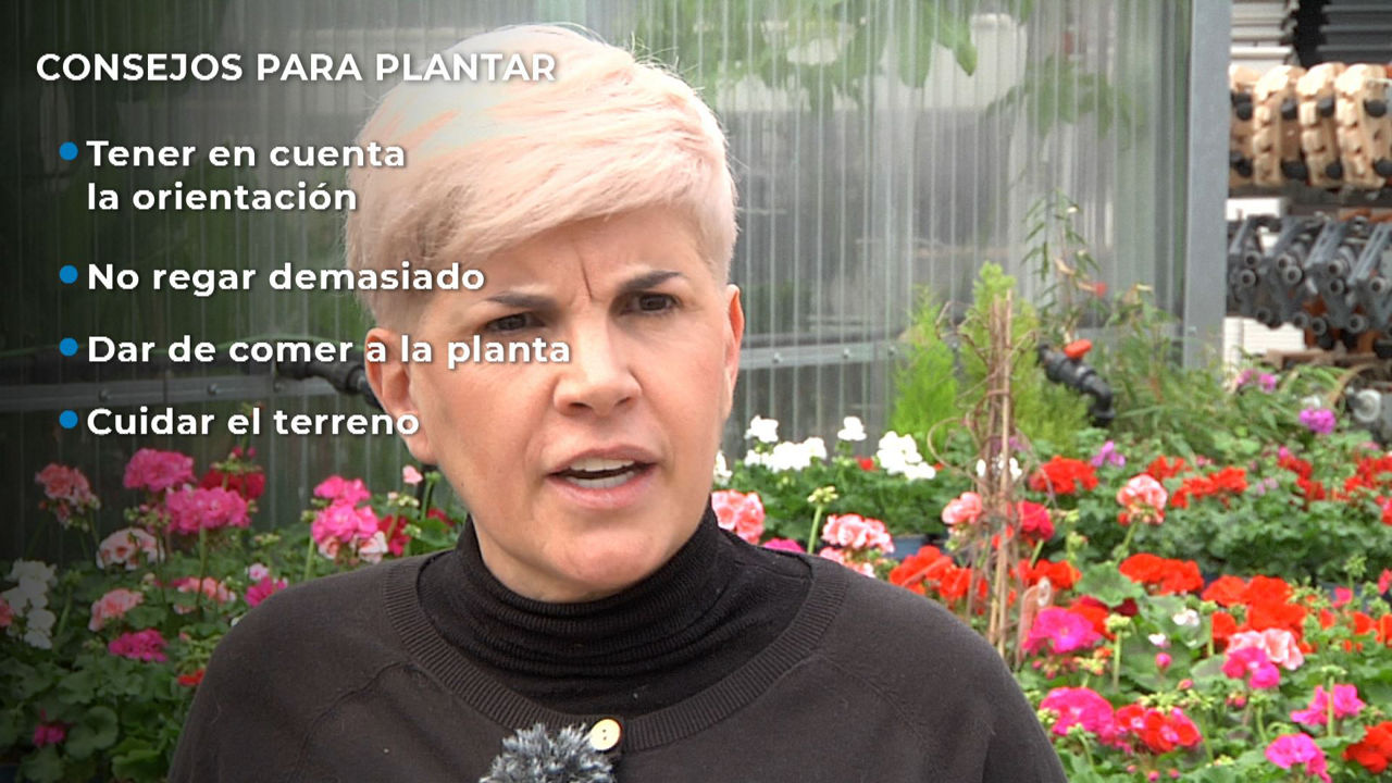 Loli Sein, Aduna Garden, primavera, plantas, flores, consejos