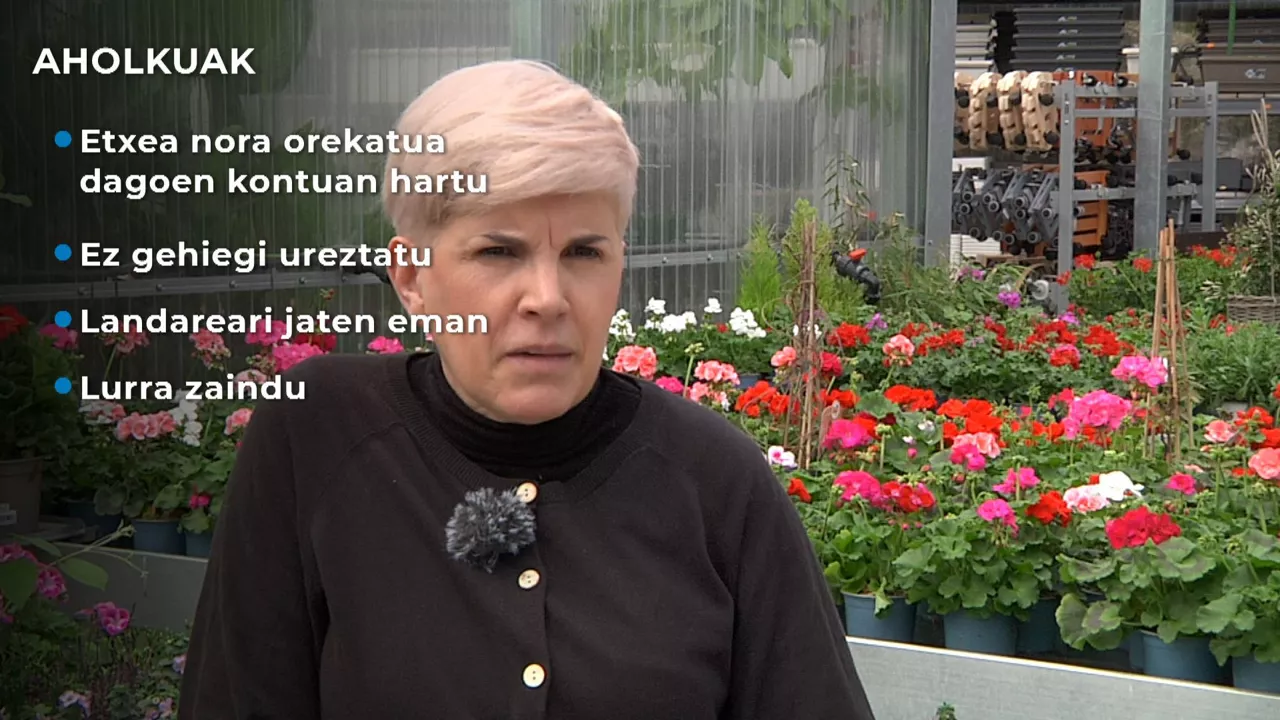 aduna garden, udaberria, loli sein, landareak, loreak