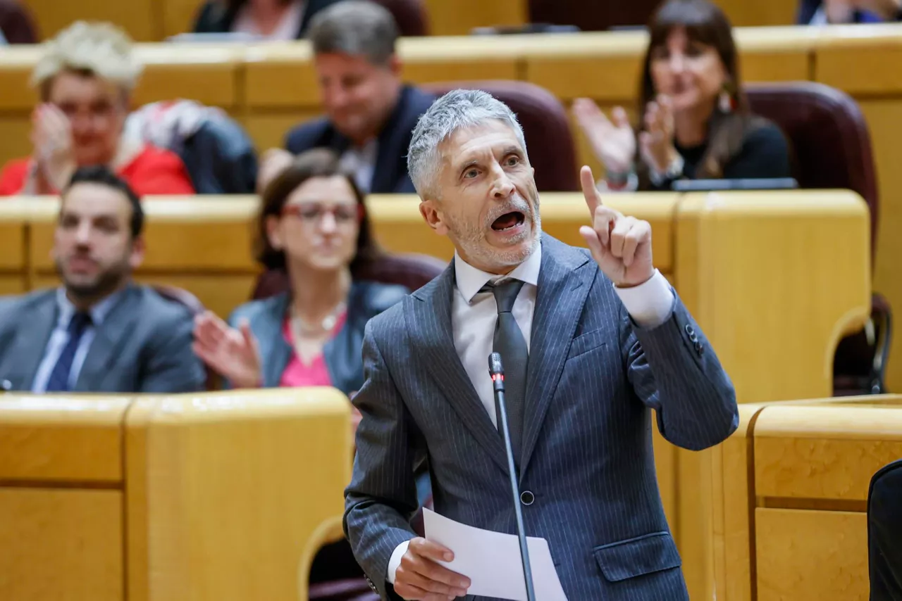 Marlaska-efe_Senado