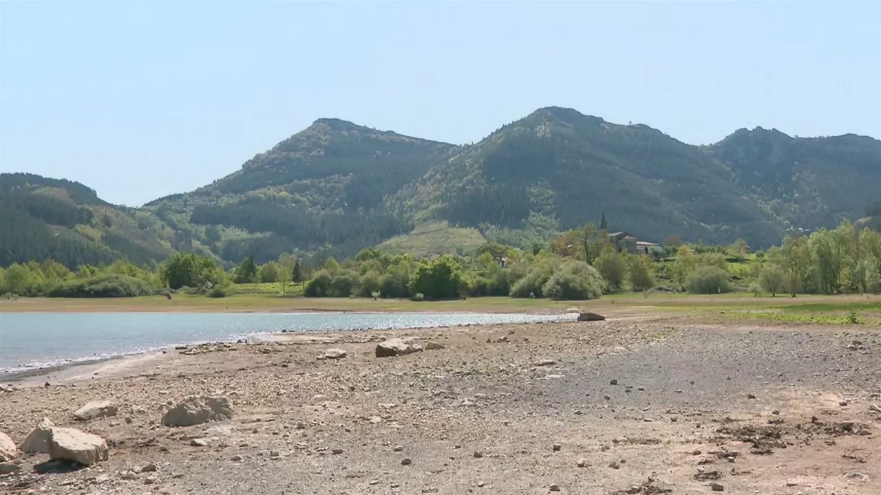 20230419141443_lehortea-euskadi_