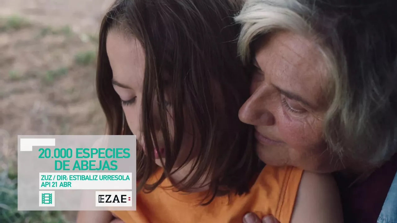 20230419150535_kulturklik-ezae-20000-especies-abejas-estibaliz-urresola-gariza_