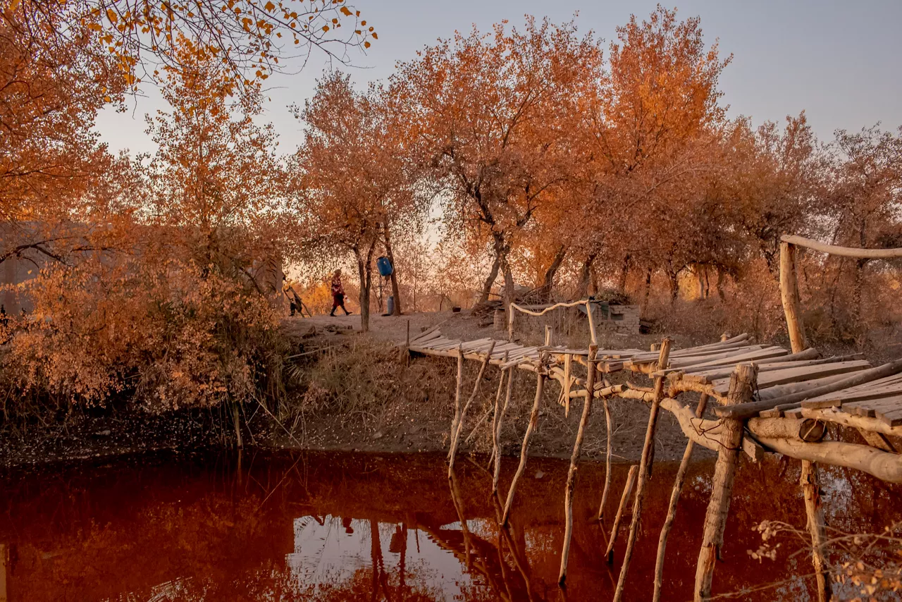World Press Photo Foto: Anush Babajanyan