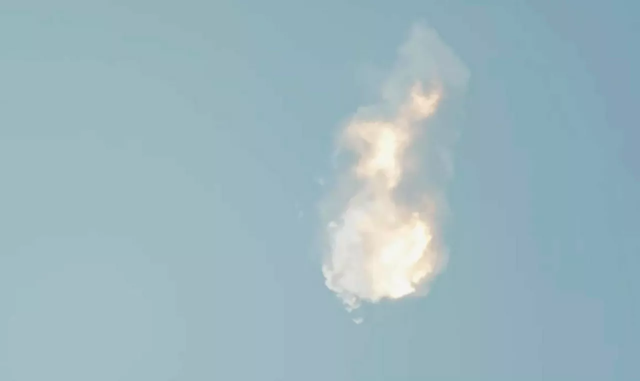 starship-musk-efe